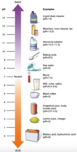 The acidity, or degree of how sour the food tastes, is measured on a pH scale of 0 to 14.